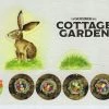 Top 10 ๐ Frosted Games Cottage Garden: Brettspiel Adventskalender 2017 Promo Promos ๐ 1 Frosted Games Cottage Garden: Brettspiel Adventskalender 2017 Promo Promos