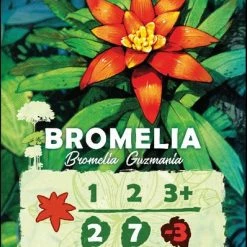 Weird City Games Canopy Card Games