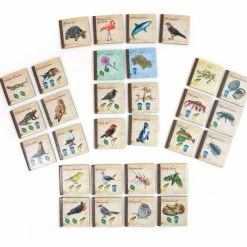 Cheapest π€© Artana Board Games On The Origin Of Species β 10 Artana Board Games On The Origin Of Species