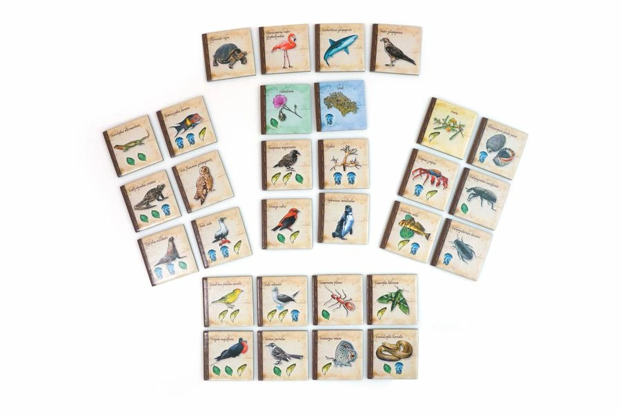 Cheapest π€© Artana Board Games On The Origin Of Species β 6 Artana Board Games On The Origin Of Species